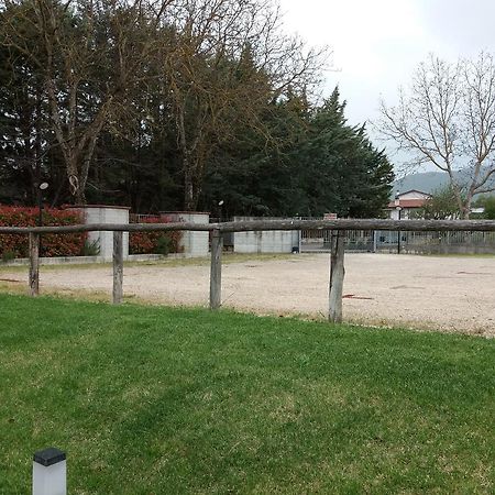 Il Boscaiolo Affittacamere Preturo Экстерьер фото